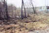 This is part of the 15 acres area