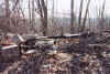 The other side of the remains of well H