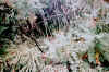 Unknown location