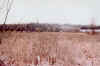 Looking East across the marsh