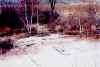 Fifteen acres